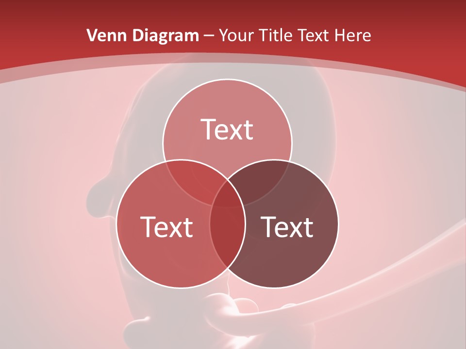 Science Embryogenesis Unborn PowerPoint Template