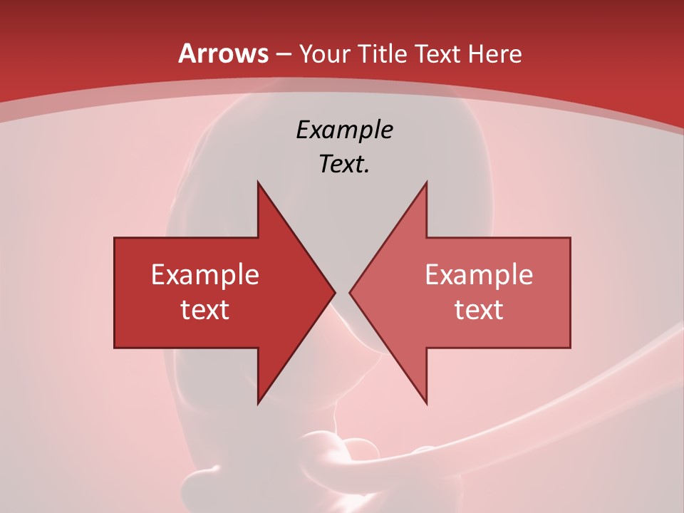 Science Embryogenesis Unborn PowerPoint Template