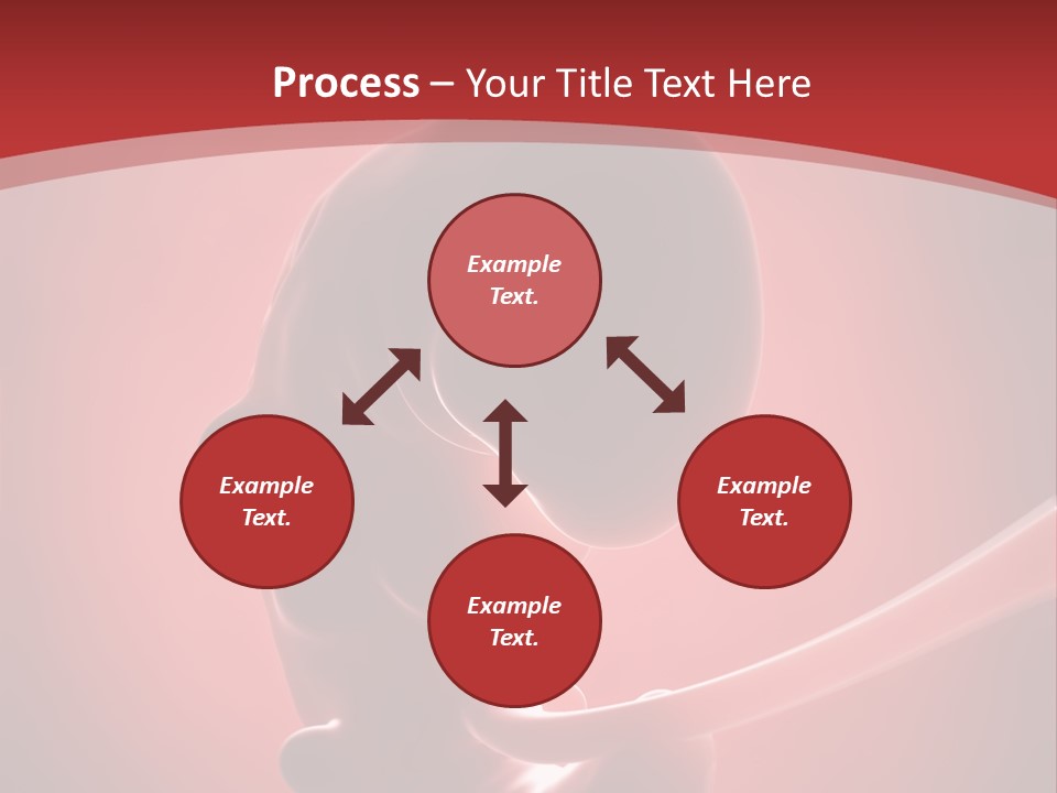 Science Embryogenesis Unborn PowerPoint Template