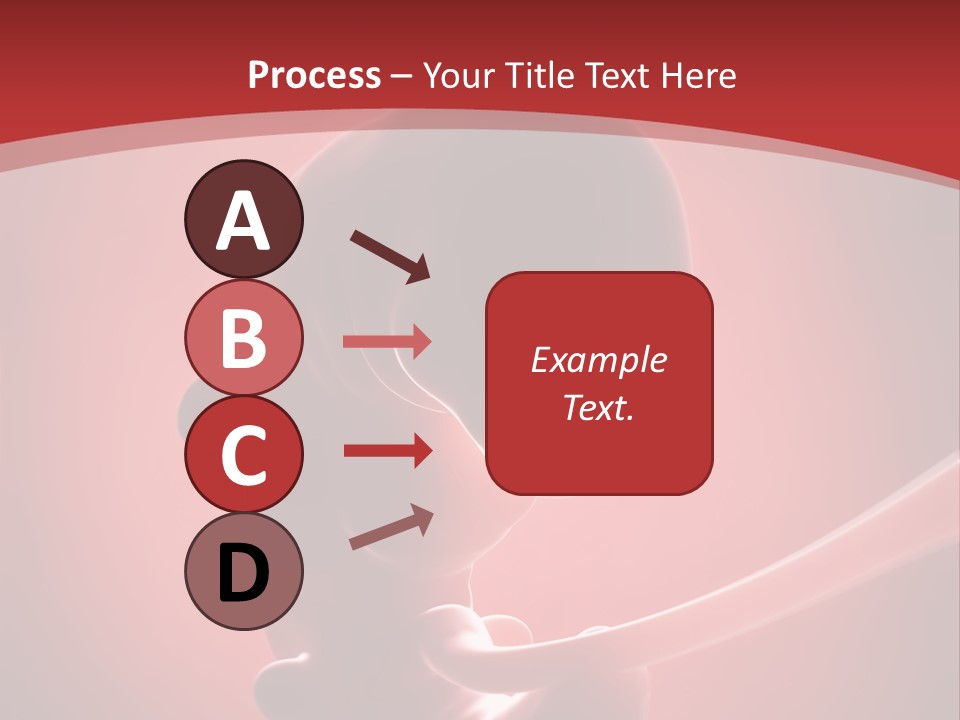 Science Embryogenesis Unborn PowerPoint Template