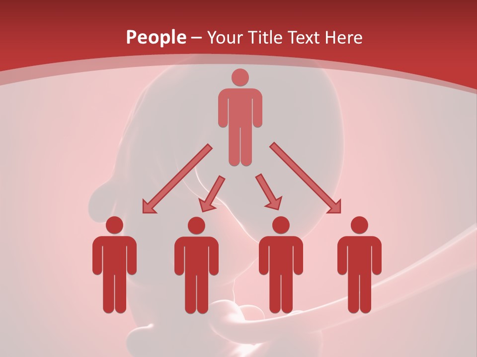 Science Embryogenesis Unborn PowerPoint Template