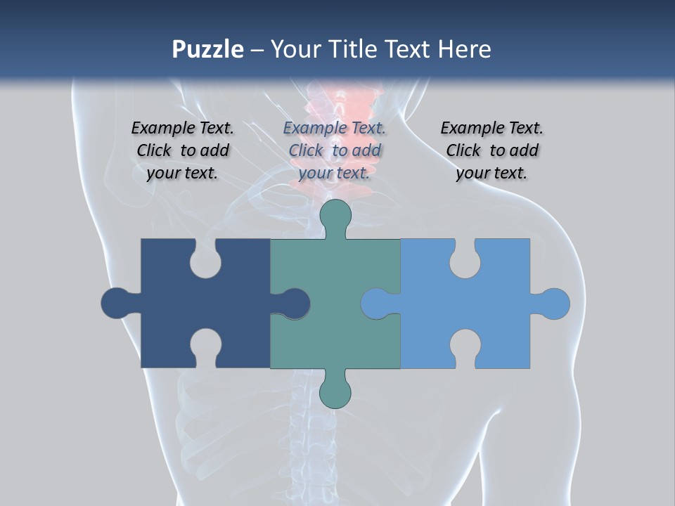 Examination Vertebra Backbone PowerPoint Template