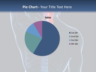 Examination Vertebra Backbone PowerPoint Template