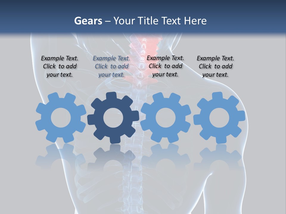 Examination Vertebra Backbone PowerPoint Template