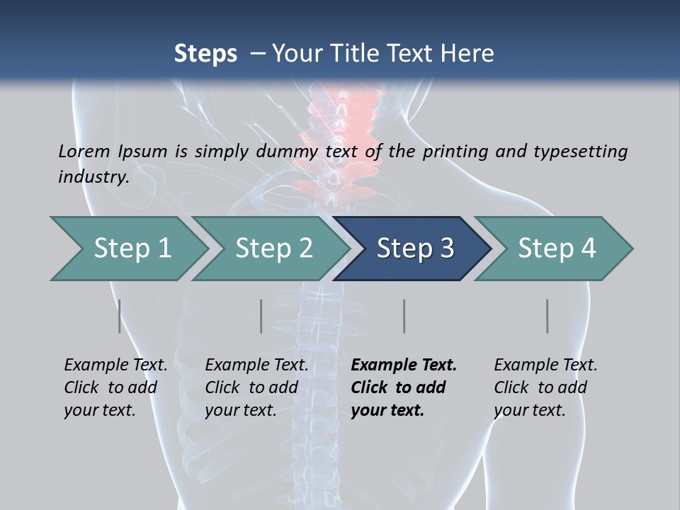 Examination Vertebra Backbone PowerPoint Template