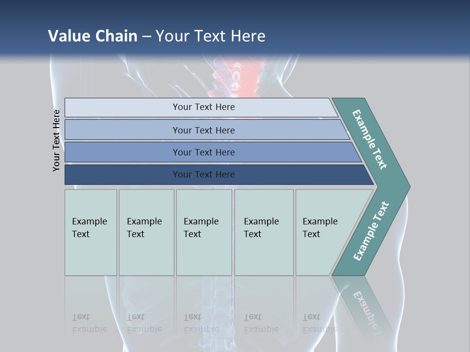 Examination Vertebra Backbone PowerPoint Template