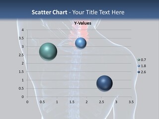 Examination Vertebra Backbone PowerPoint Template