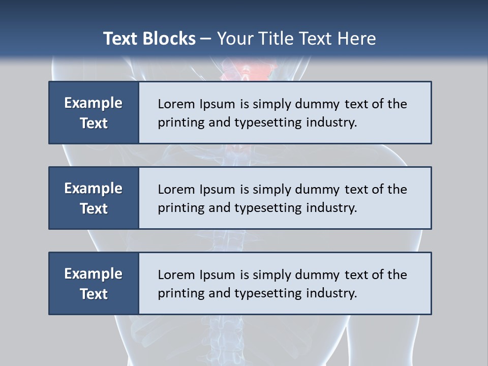 Examination Vertebra Backbone PowerPoint Template