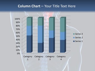 Examination Vertebra Backbone PowerPoint Template