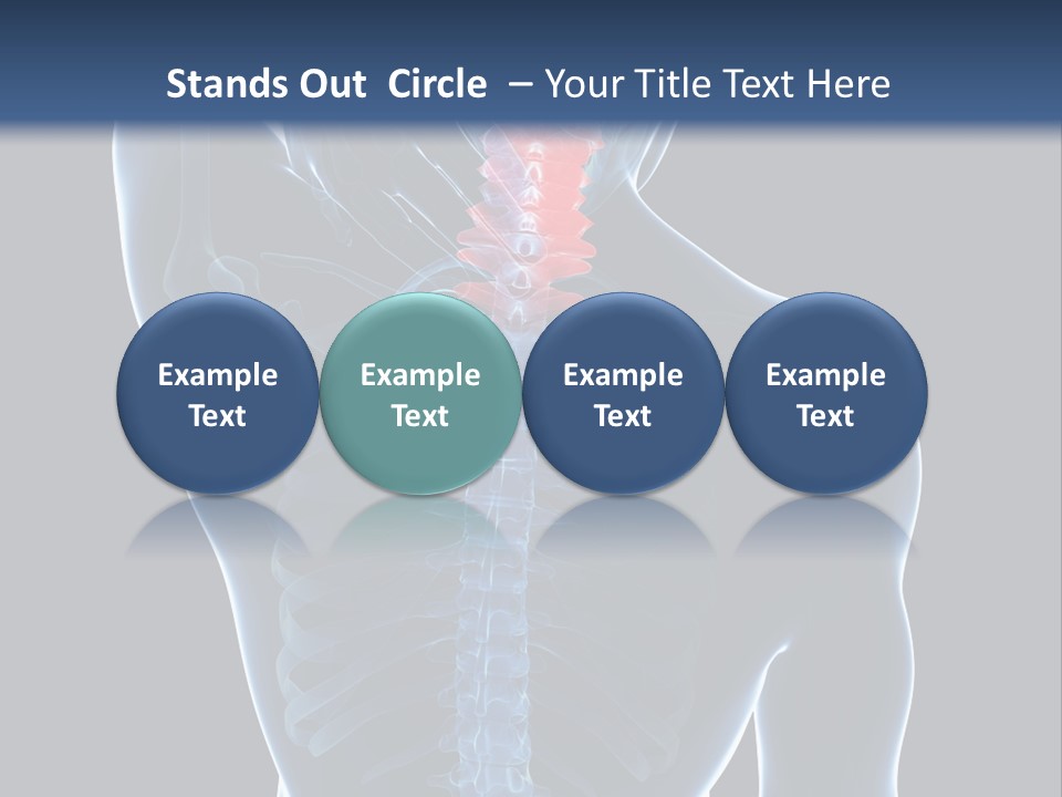 Examination Vertebra Backbone PowerPoint Template