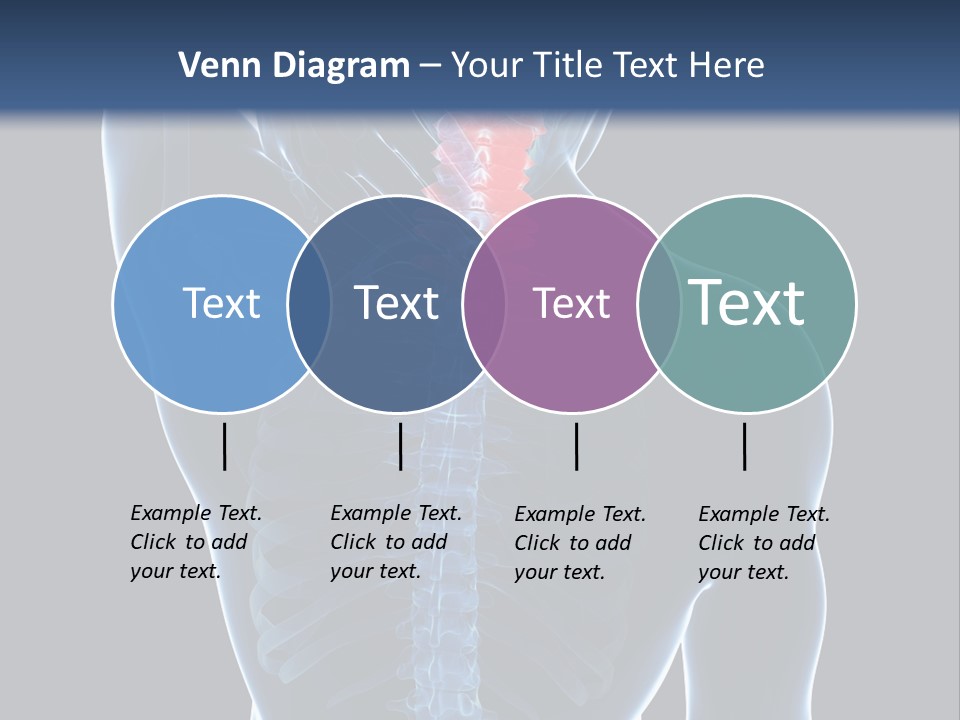Examination Vertebra Backbone PowerPoint Template