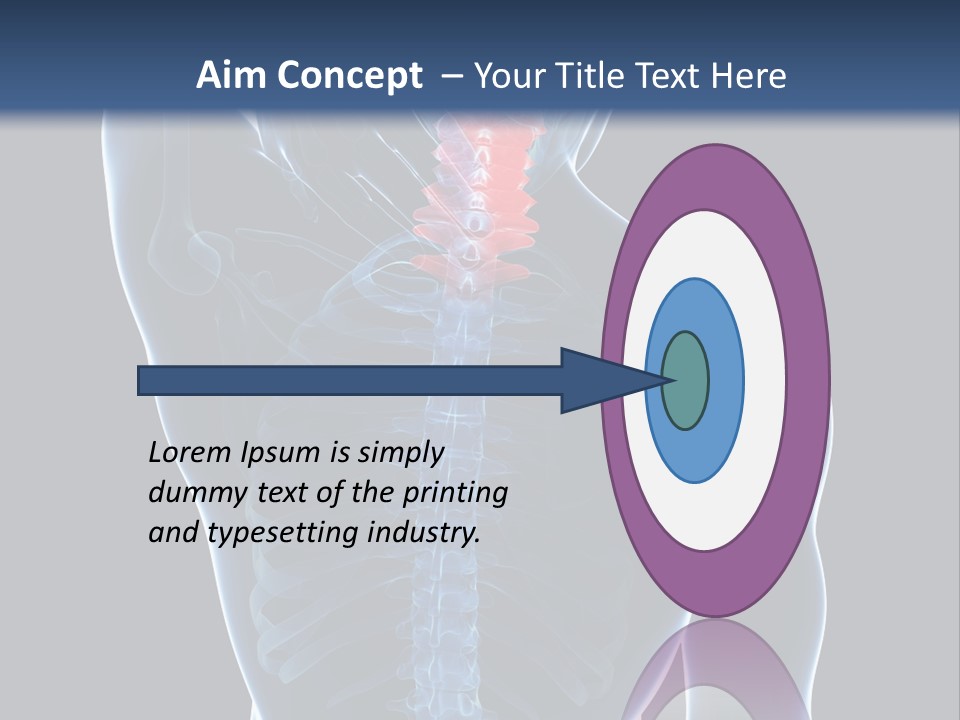 Examination Vertebra Backbone PowerPoint Template