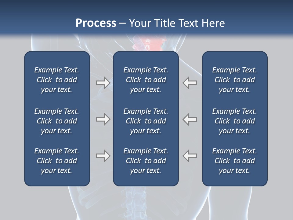 Examination Vertebra Backbone PowerPoint Template