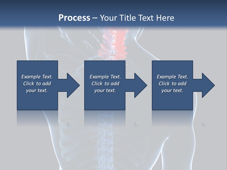 Examination Vertebra Backbone PowerPoint Template
