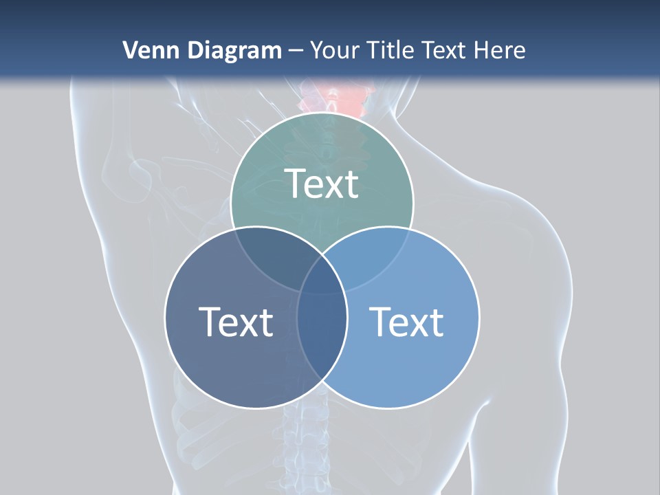 Examination Vertebra Backbone PowerPoint Template