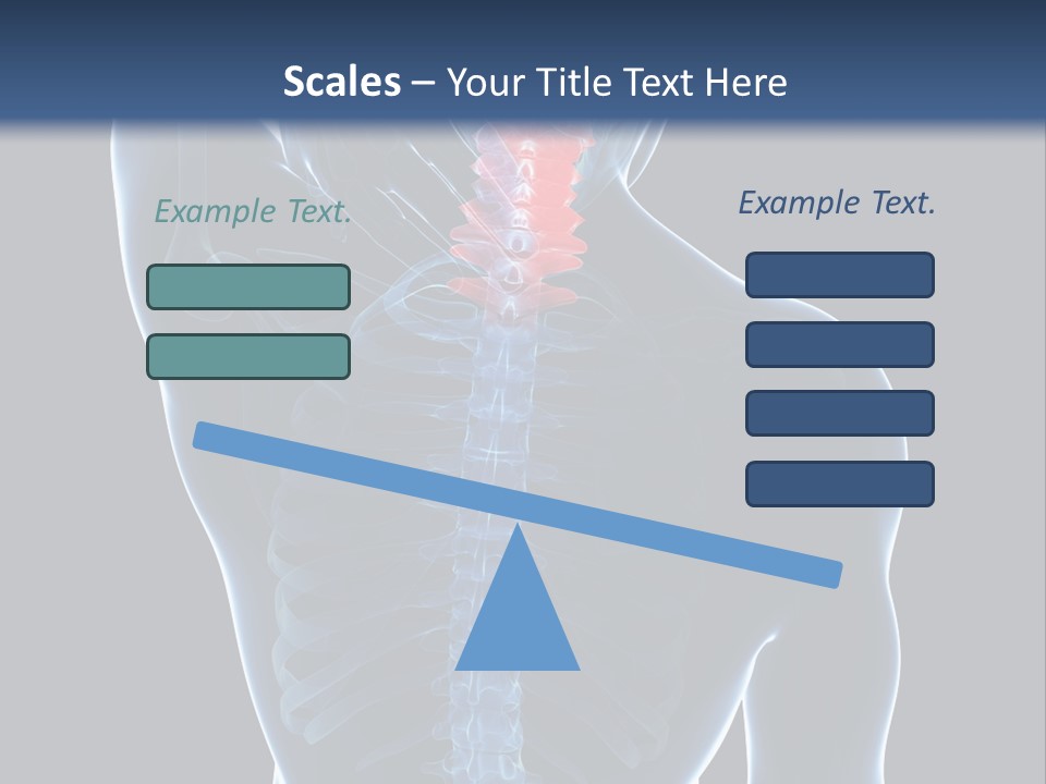 Examination Vertebra Backbone PowerPoint Template