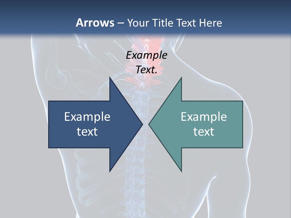 Examination Vertebra Backbone PowerPoint Template