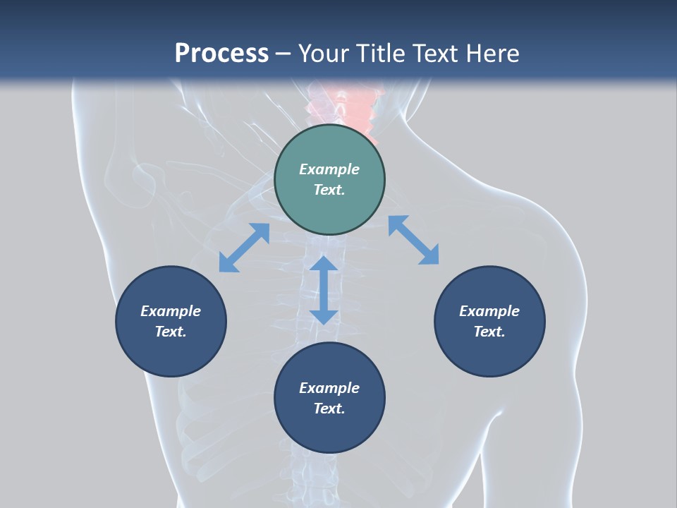 Examination Vertebra Backbone PowerPoint Template
