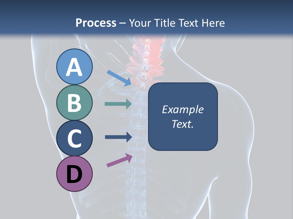 Examination Vertebra Backbone PowerPoint Template