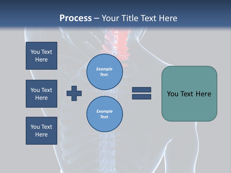 Examination Vertebra Backbone PowerPoint Template