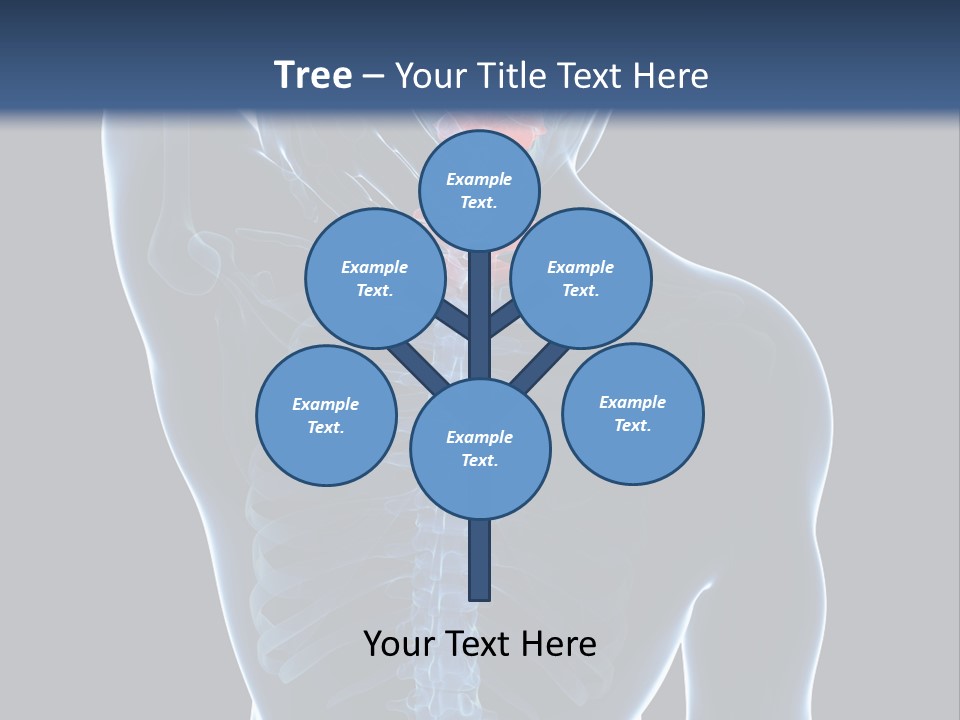 Examination Vertebra Backbone PowerPoint Template