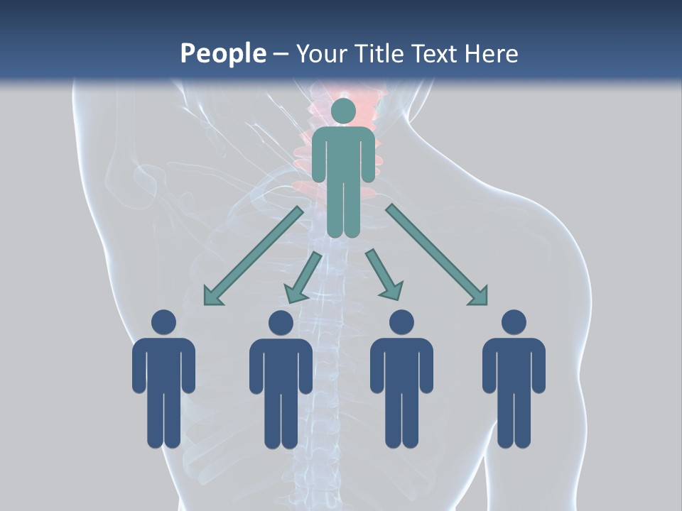 Examination Vertebra Backbone PowerPoint Template