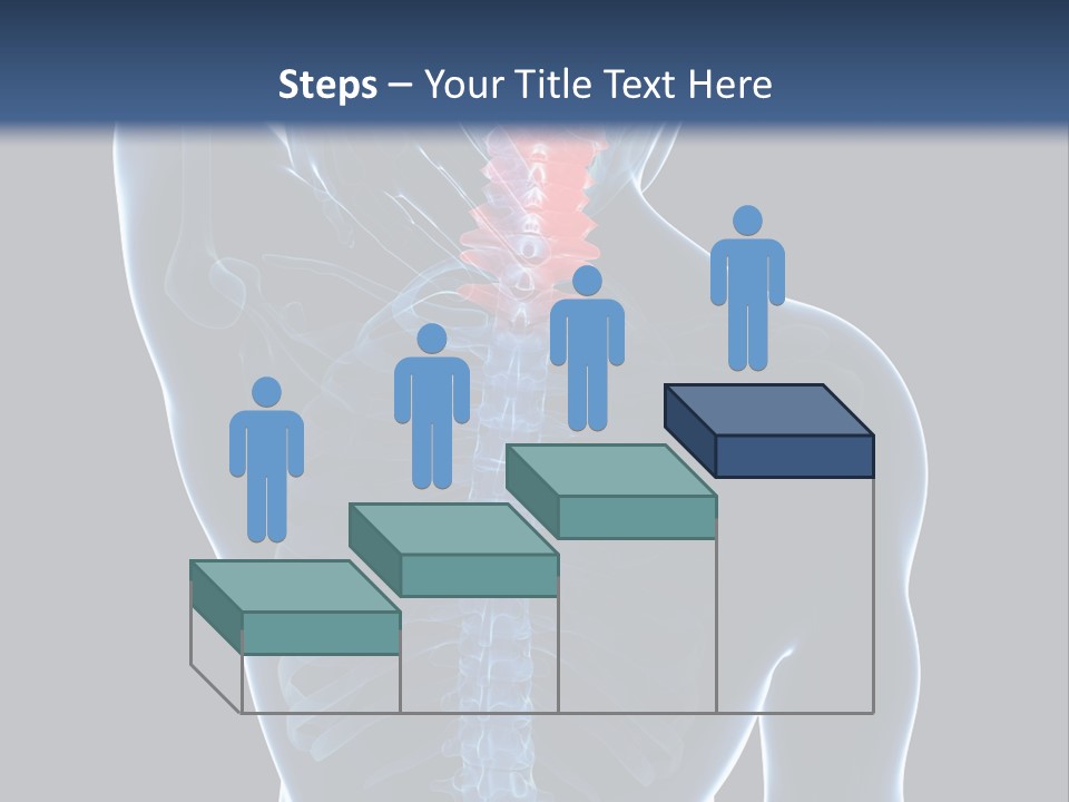 Examination Vertebra Backbone PowerPoint Template