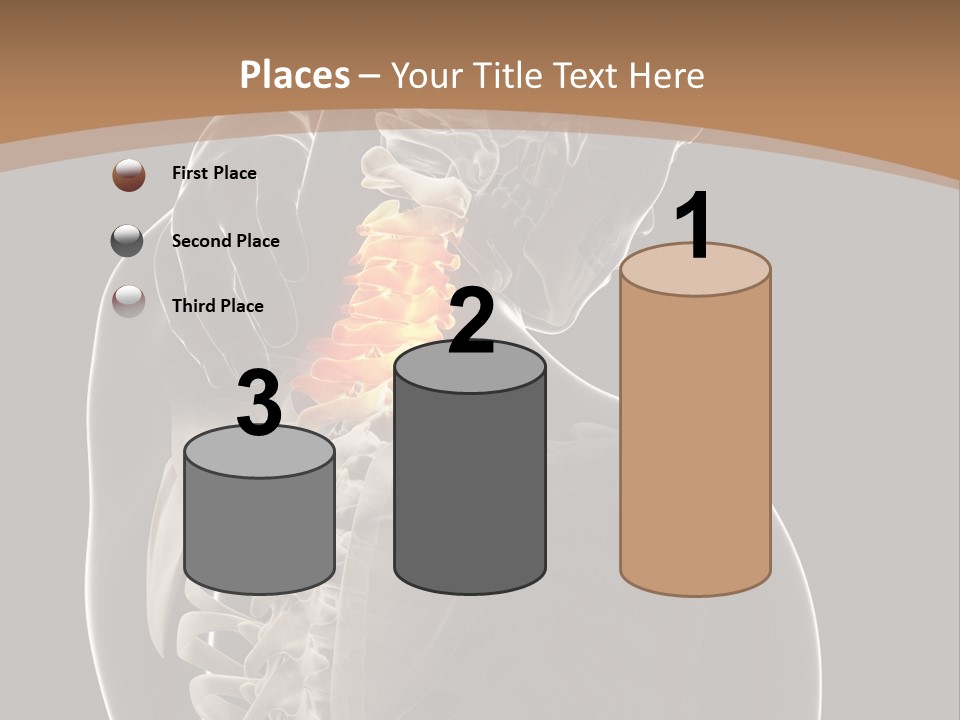 Joint Spinal Biology PowerPoint Template