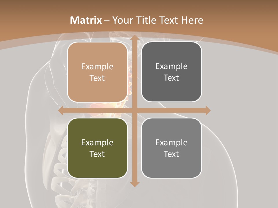 Joint Spinal Biology PowerPoint Template