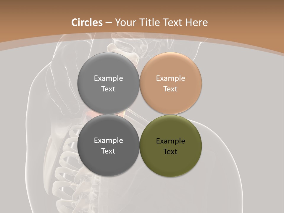 Joint Spinal Biology PowerPoint Template
