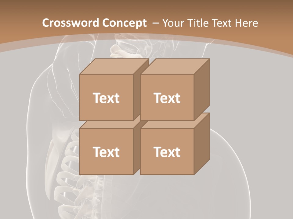 Joint Spinal Biology PowerPoint Template