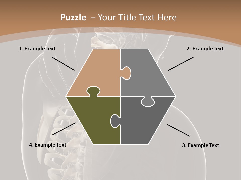 Joint Spinal Biology PowerPoint Template