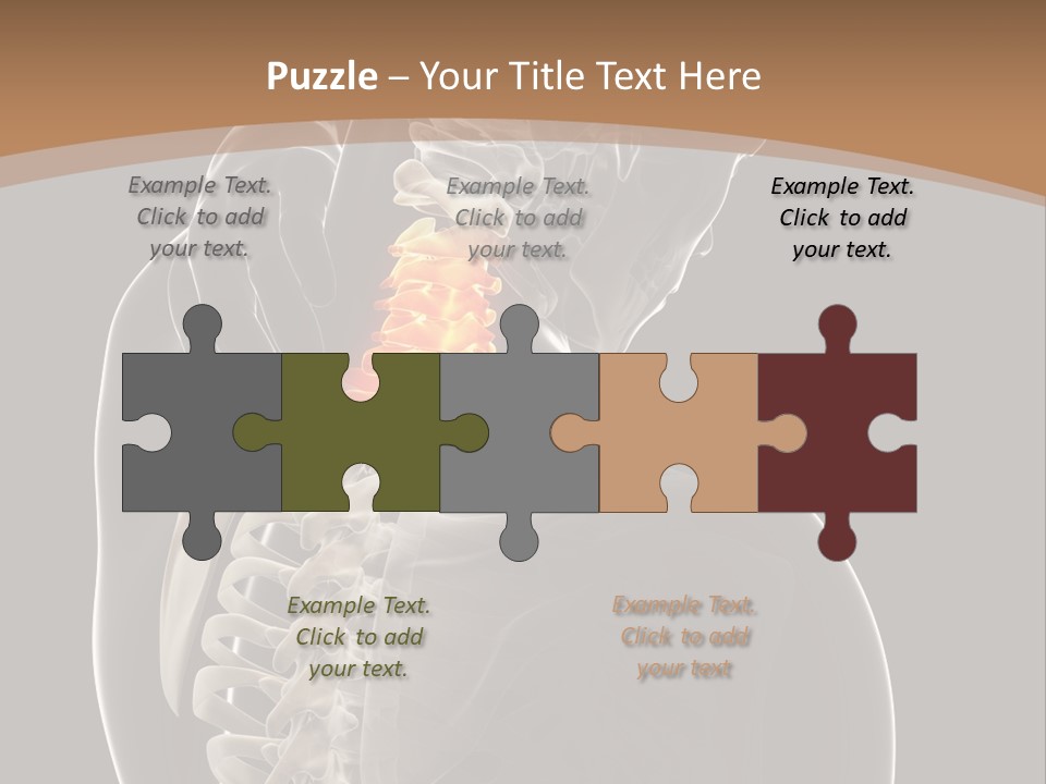 Joint Spinal Biology PowerPoint Template