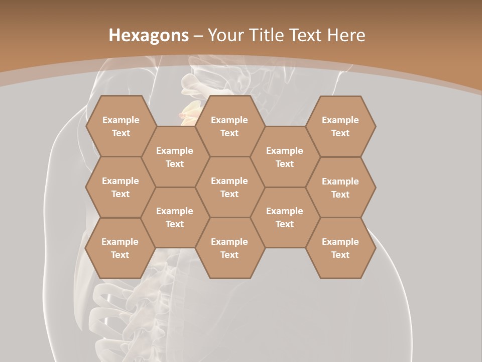 Joint Spinal Biology PowerPoint Template