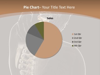 Joint Spinal Biology PowerPoint Template