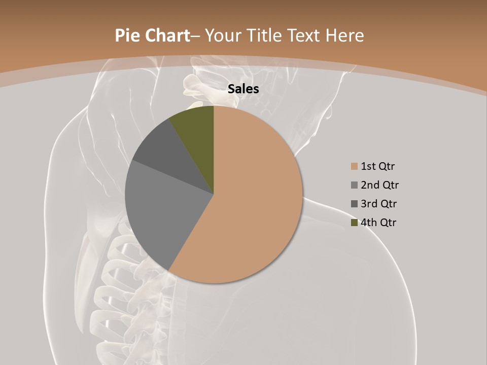 Joint Spinal Biology PowerPoint Template