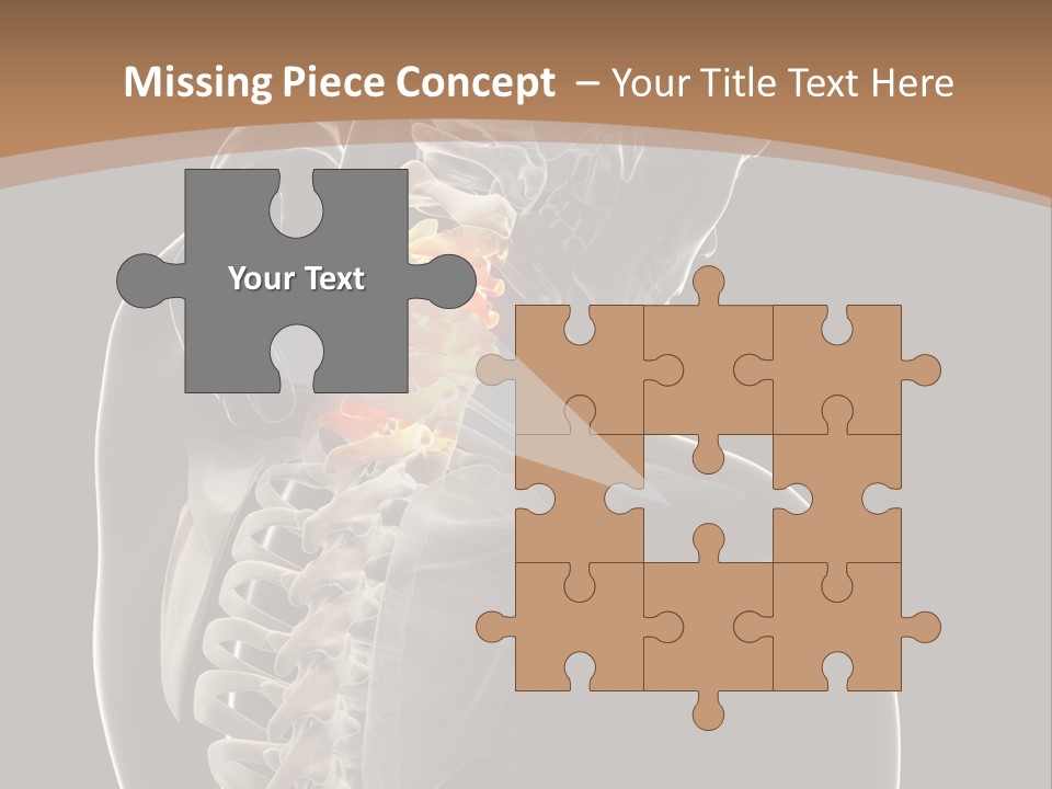 Joint Spinal Biology PowerPoint Template