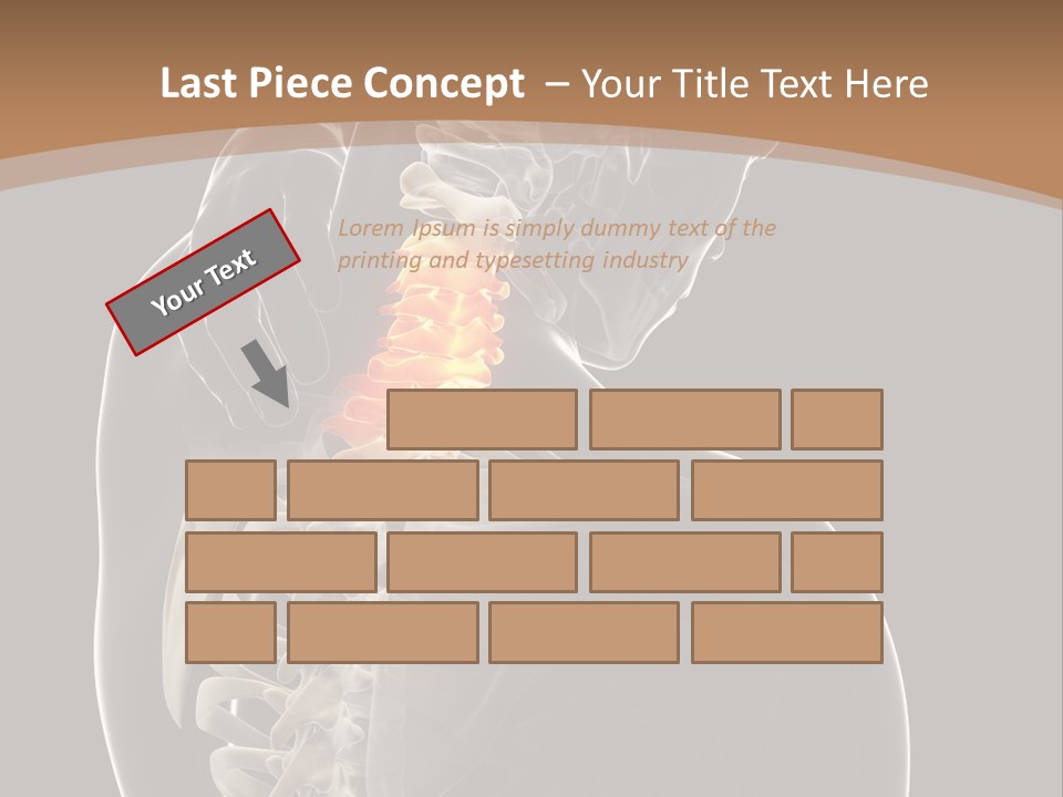Joint Spinal Biology PowerPoint Template