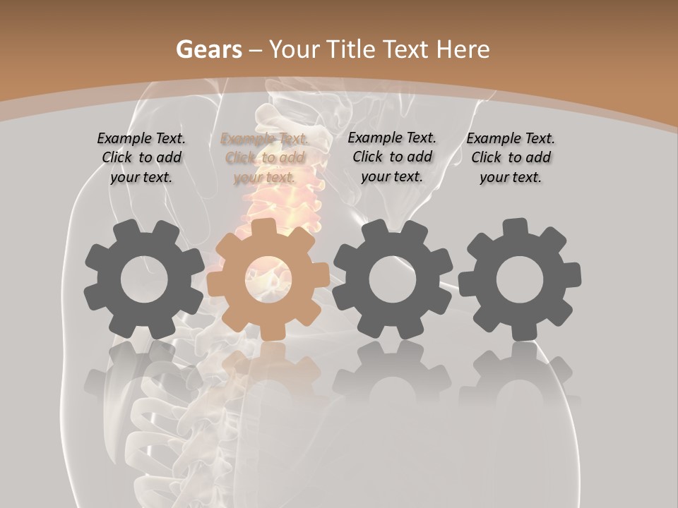 Joint Spinal Biology PowerPoint Template