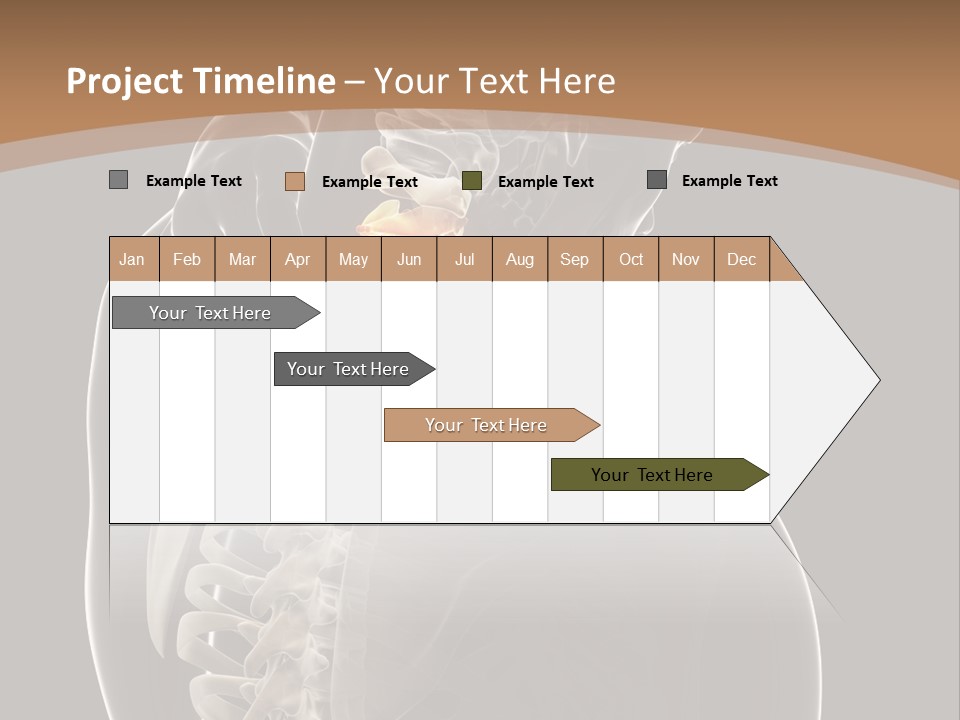 Joint Spinal Biology PowerPoint Template