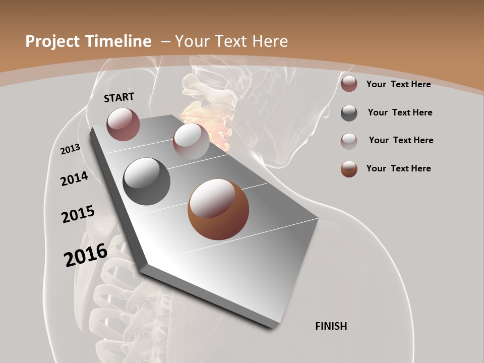 Joint Spinal Biology PowerPoint Template
