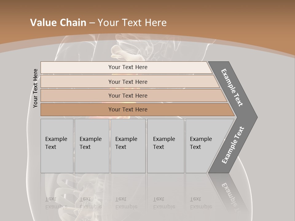Joint Spinal Biology PowerPoint Template