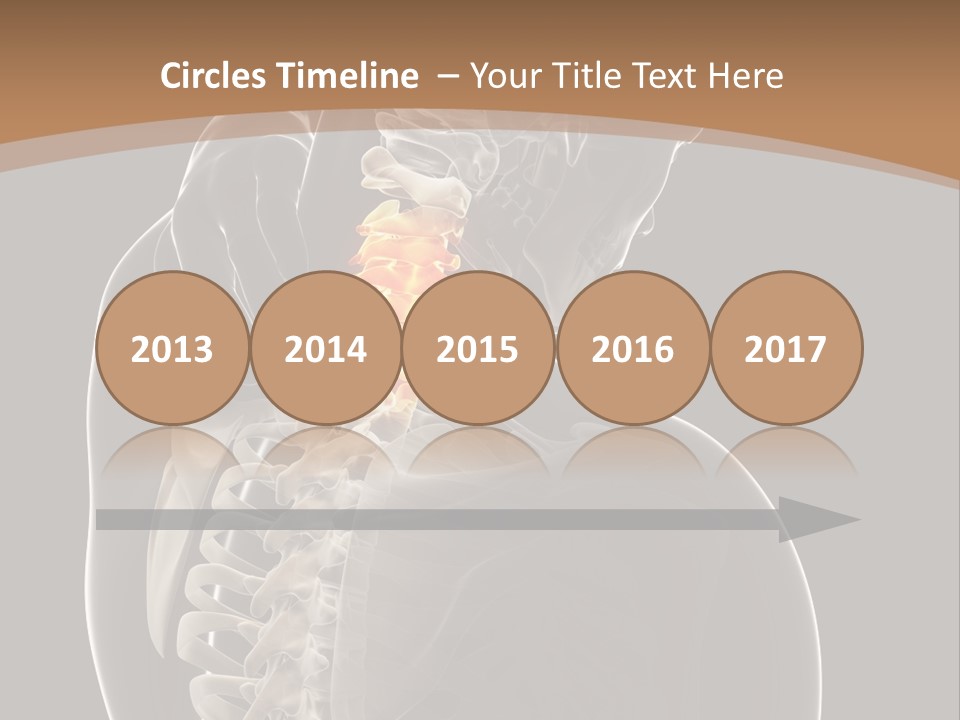 Joint Spinal Biology PowerPoint Template