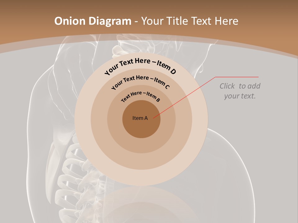 Joint Spinal Biology PowerPoint Template