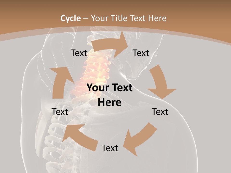 Joint Spinal Biology PowerPoint Template