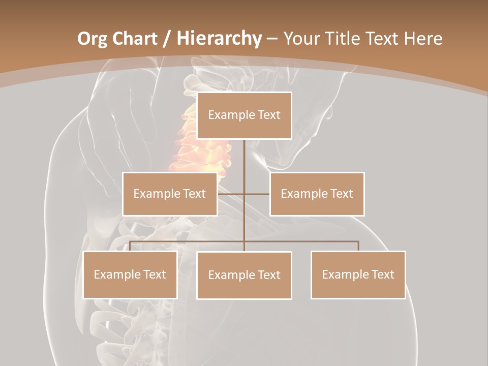 Joint Spinal Biology PowerPoint Template