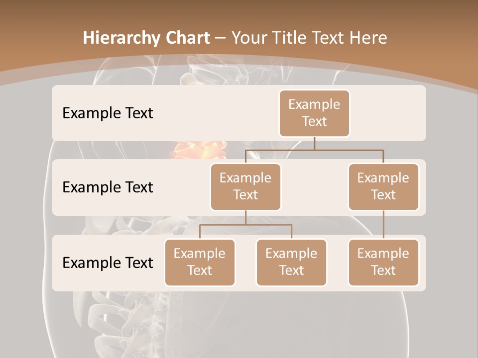 Joint Spinal Biology PowerPoint Template