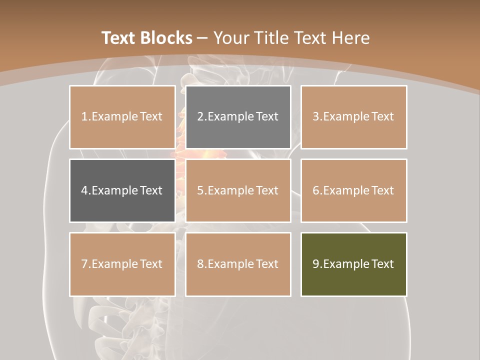 Joint Spinal Biology PowerPoint Template