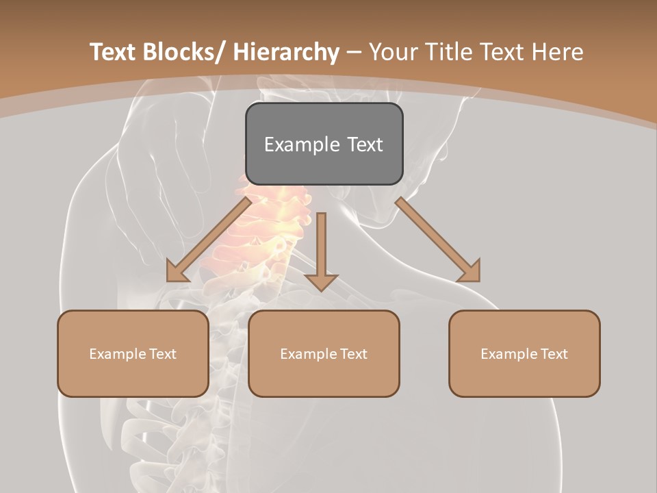 Joint Spinal Biology PowerPoint Template