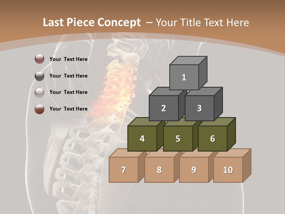 Joint Spinal Biology PowerPoint Template
